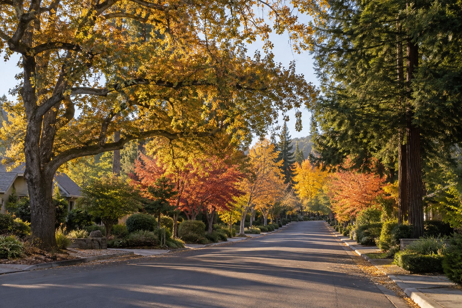 A tree-lined Santa Rosa residential street, illustrative