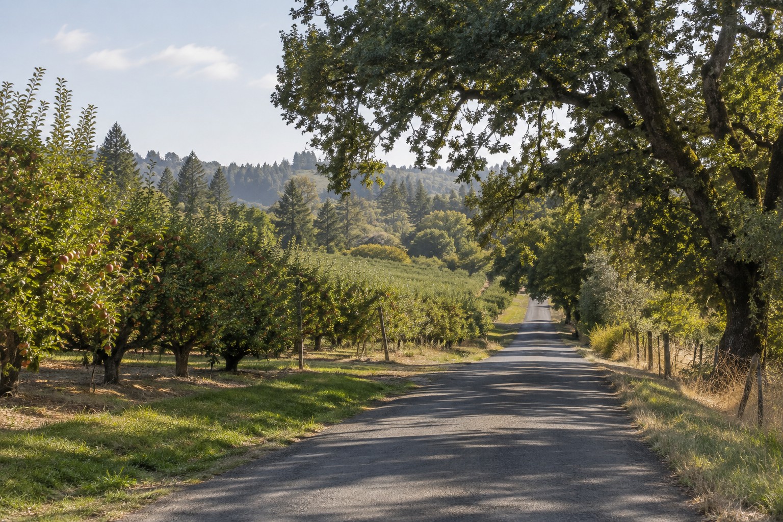 Sebastopol, CA